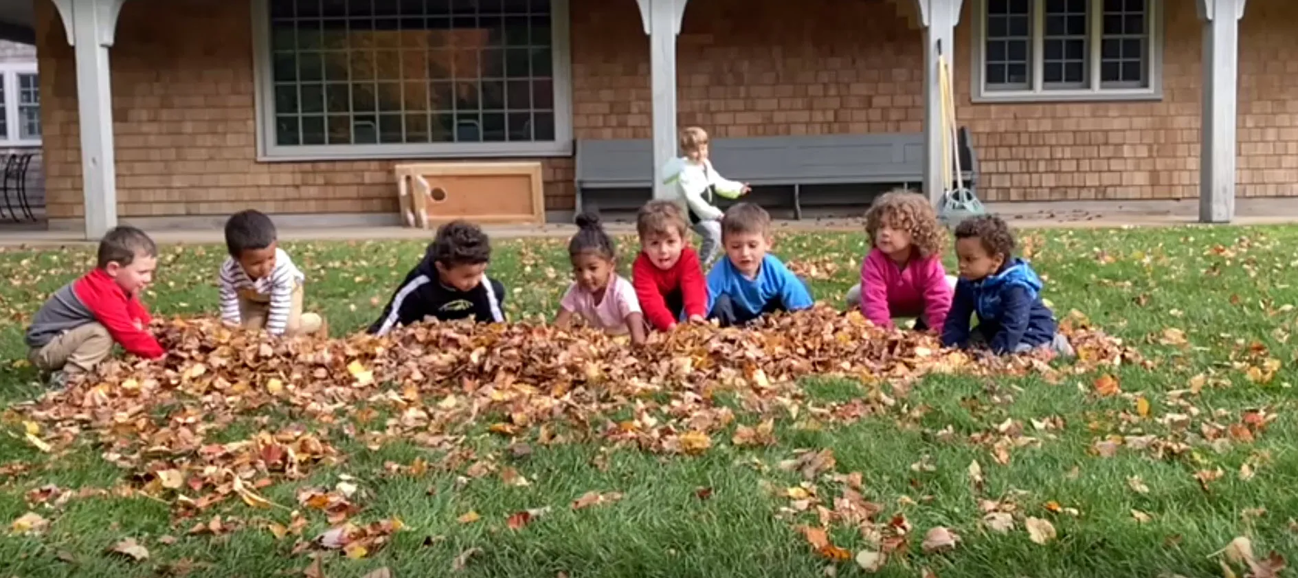 children playing in leaves